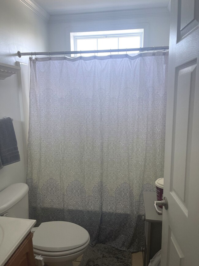 Master Bathroom - 374 73rd St #6