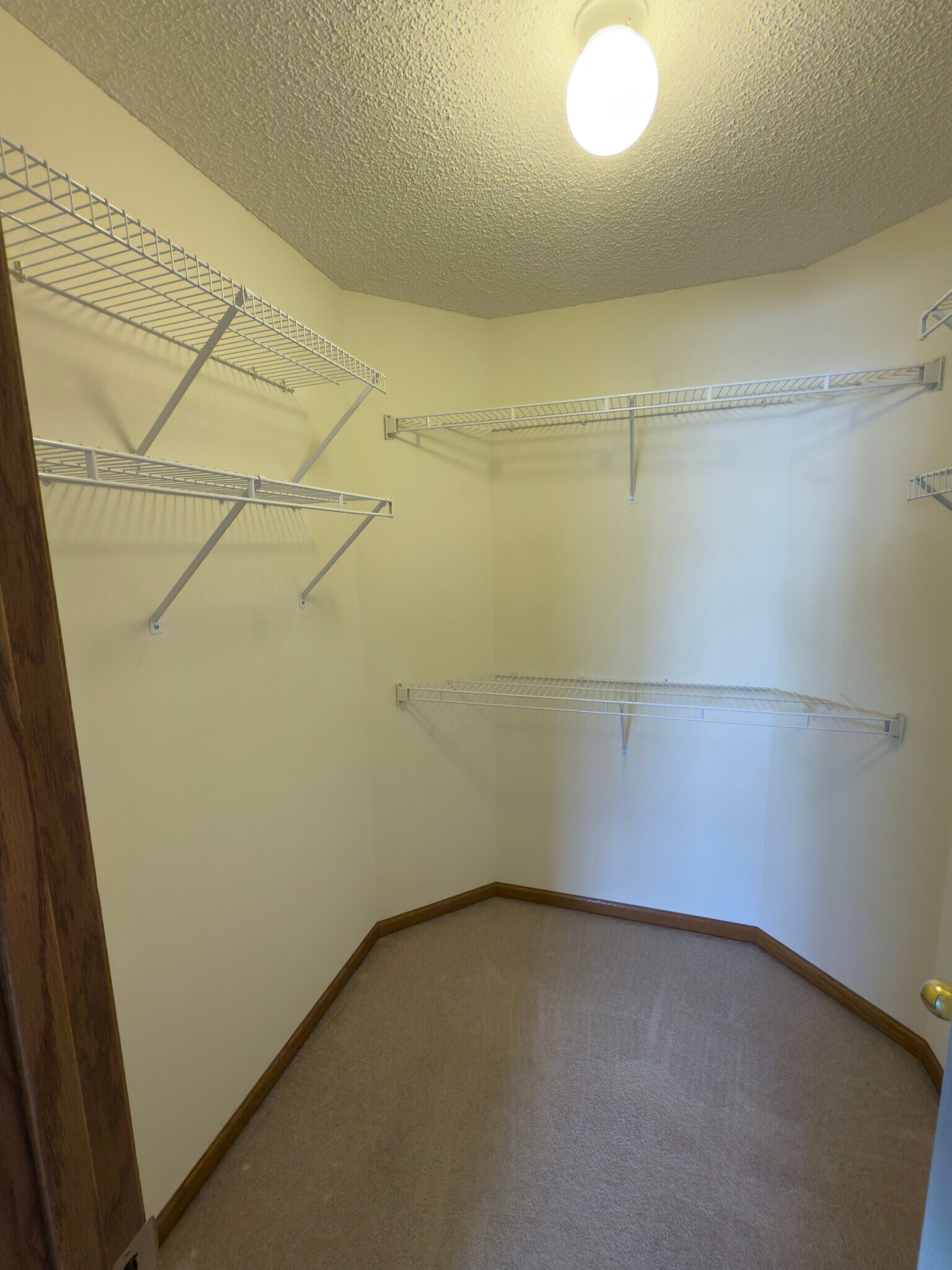 Building Photo - 8647 Quarry Ridge Ln