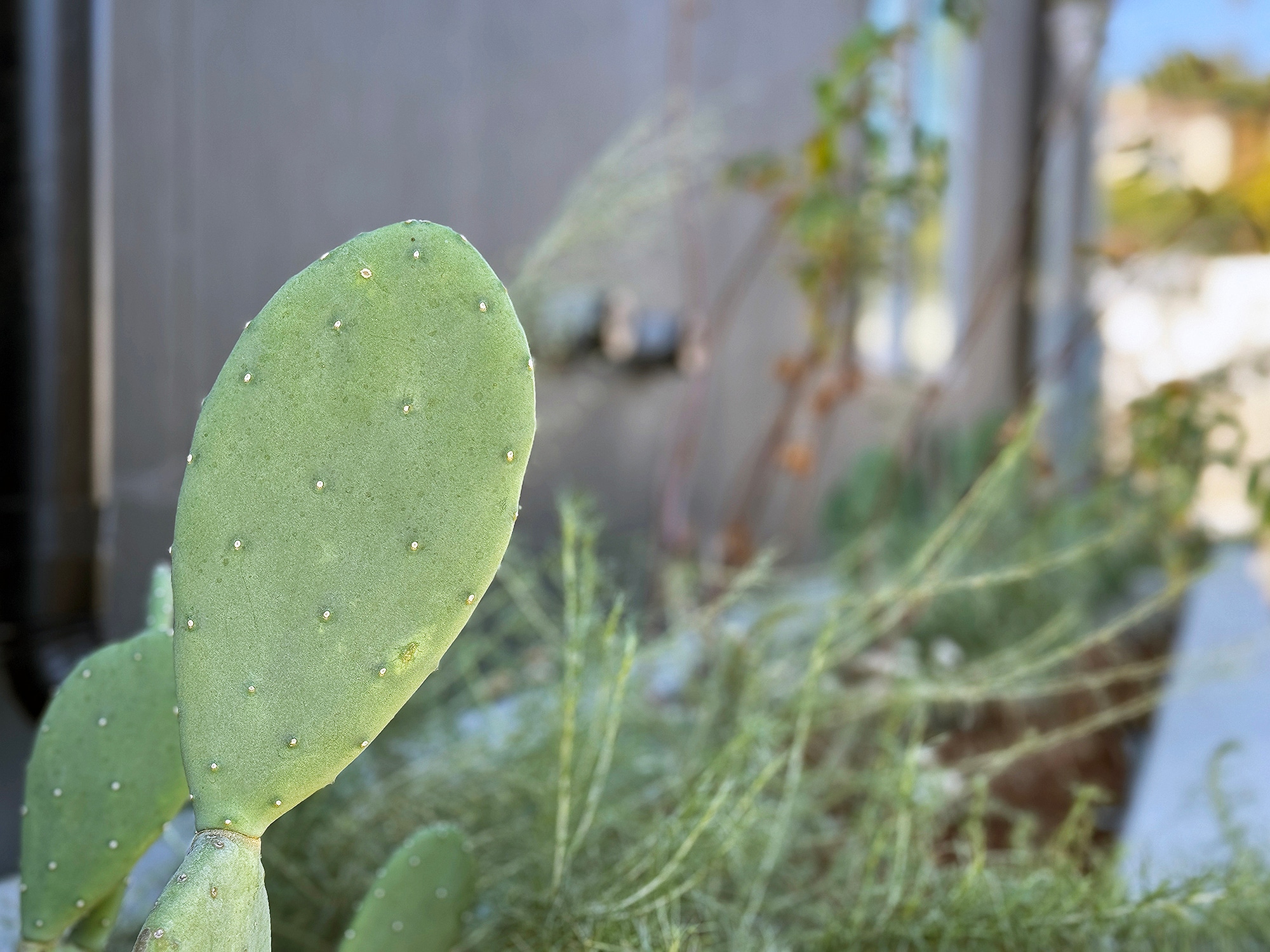 Building Photo - 2284 India St