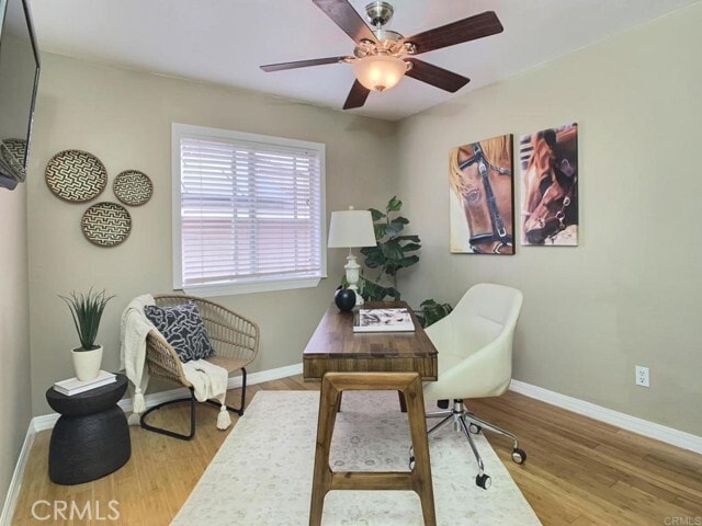 Building Photo - 1242 Avenida Amistad