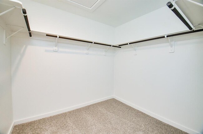 Building Photo - 1218 Isola Bella Dr