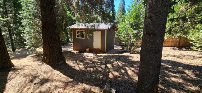 Building Photo - 3 bed 2 bath home surrounded by nature
