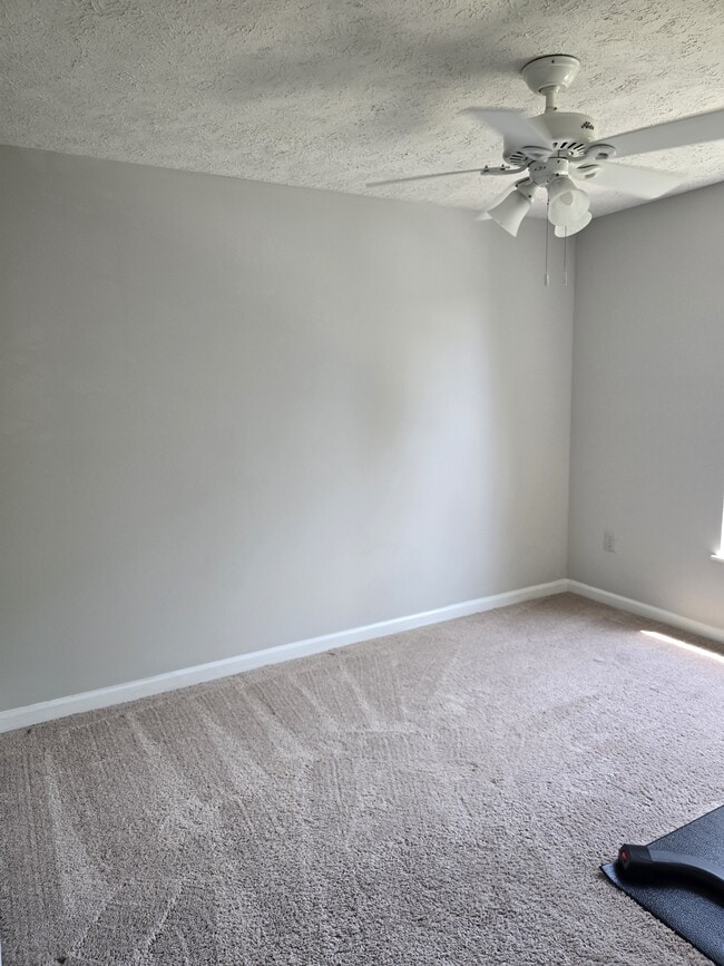 Building Photo - 5586 Talbot Ct