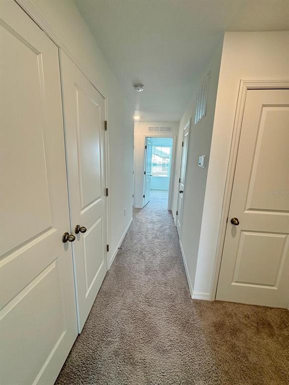 Building Photo - 177 Mandovi St