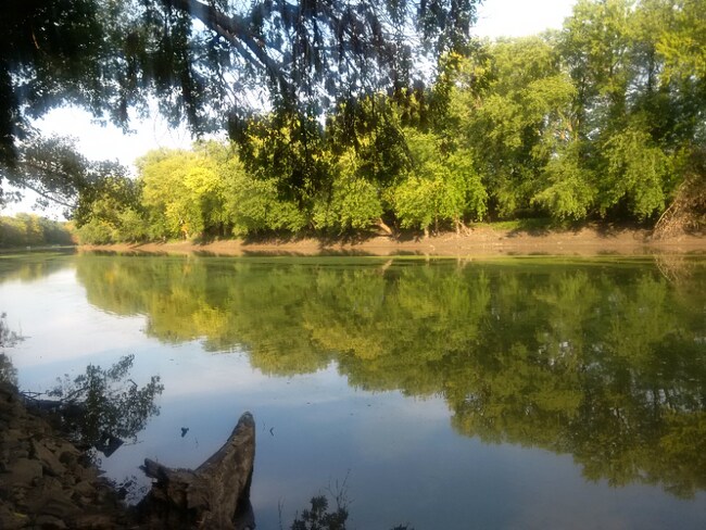 Building Photo - 504 S Martin St