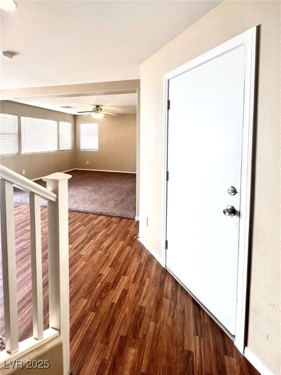 Building Photo - 8029 Indian Blanket St