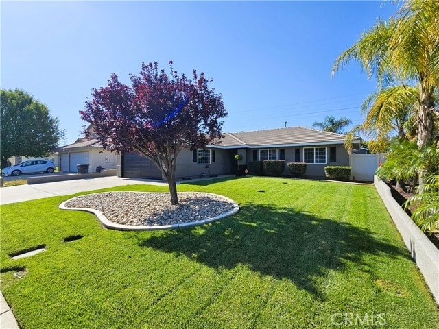Building Photo - 525 Cedar View Dr