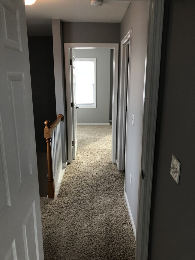 420 Westfall Rd 420 Westfall Rd Rochester NY 14620 Apartment Finder