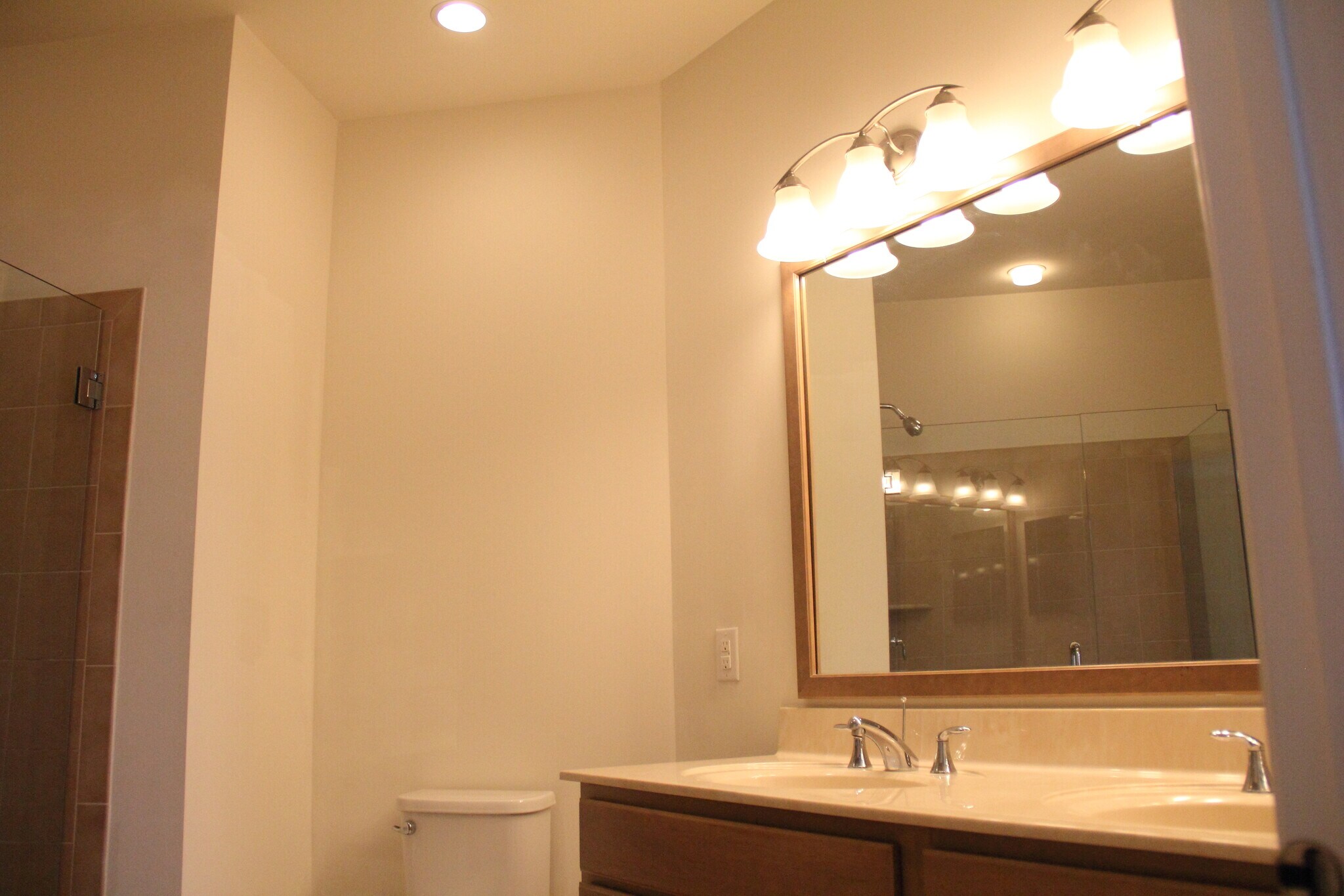 Master bathroom view 1 - 115 Deacon Shattuck Way