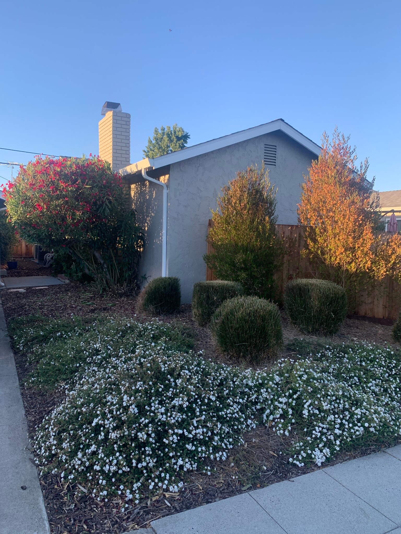 Building Photo - 2969 Rosemary Ln