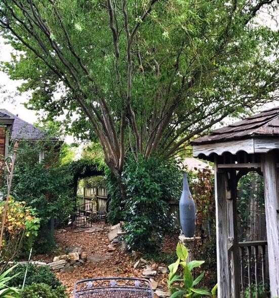 shared garden - 942 Russell St