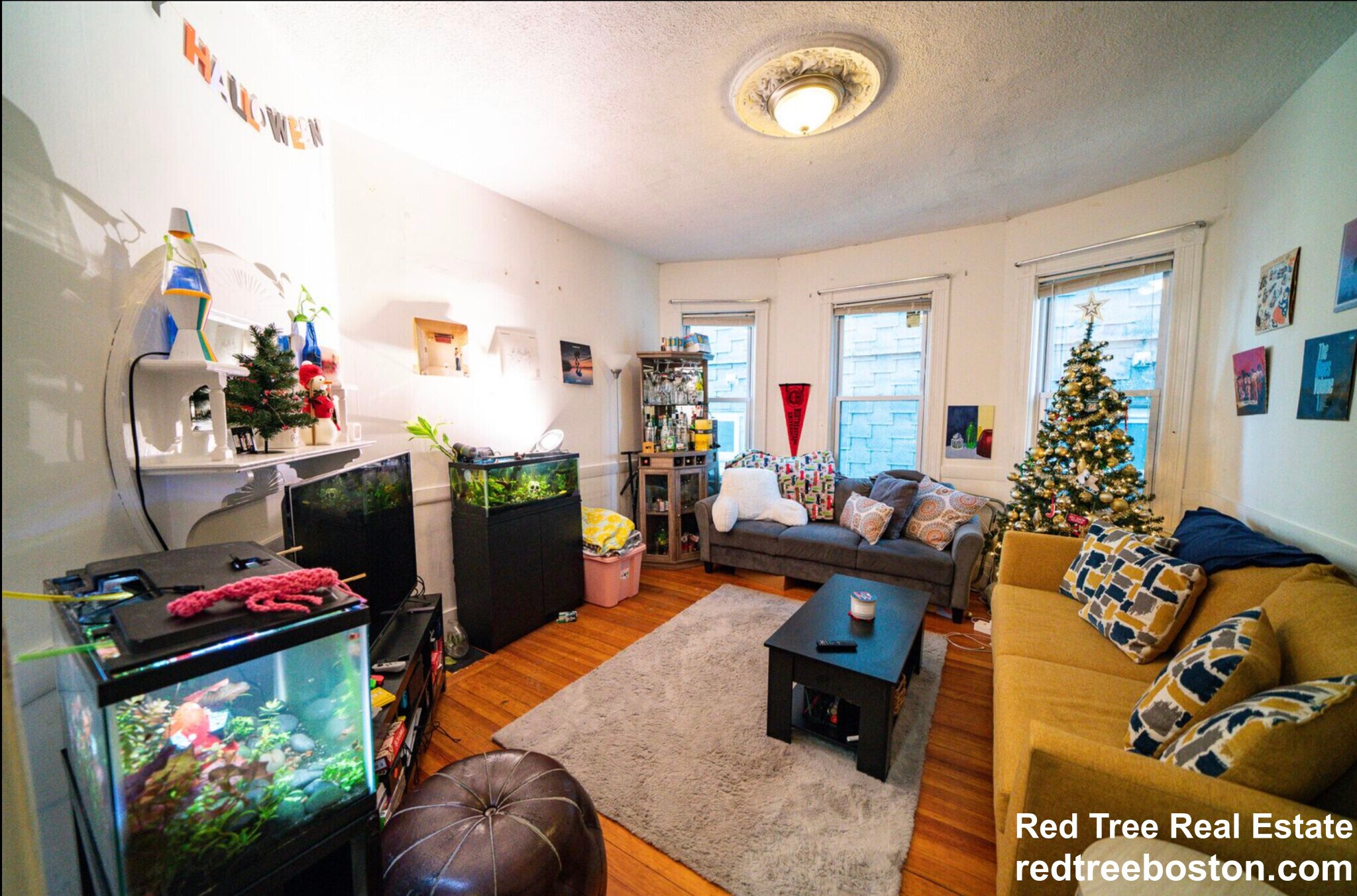 Building Photo - 35 Calumet St