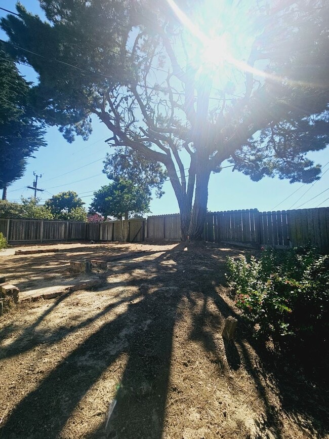 Building Photo - Remodeled 3-bed/2-bath Single Family Home ...