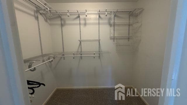 Building Photo - 1008 Woodhaven Dr
