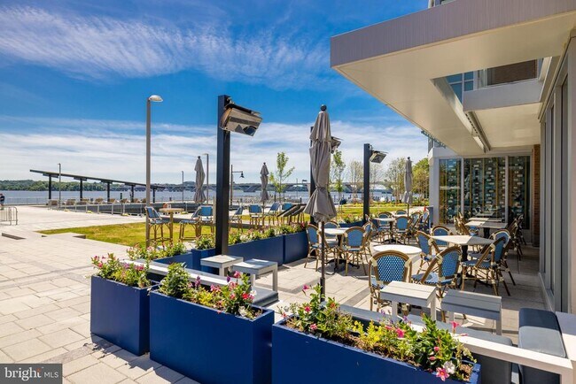 Building Photo - 203 Montgomery St