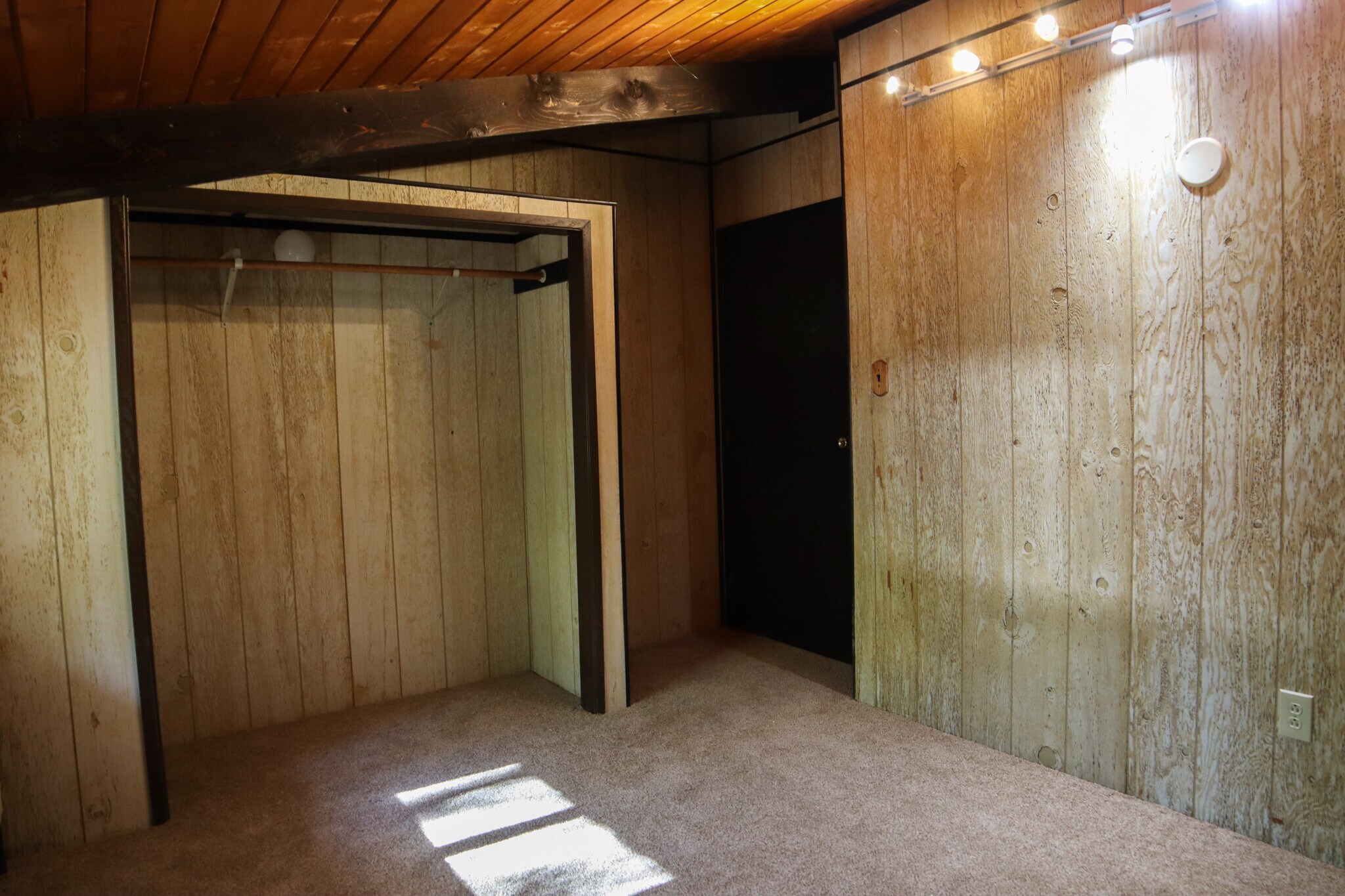 Building Photo - 3185 Daphne Ln