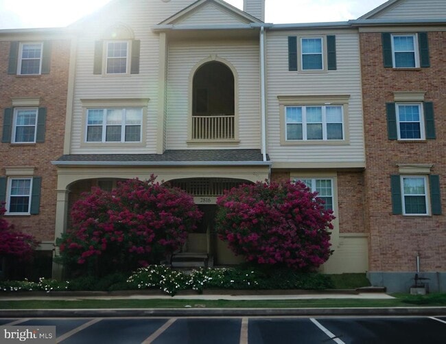 Building Photo - 2816 Emma Lee St