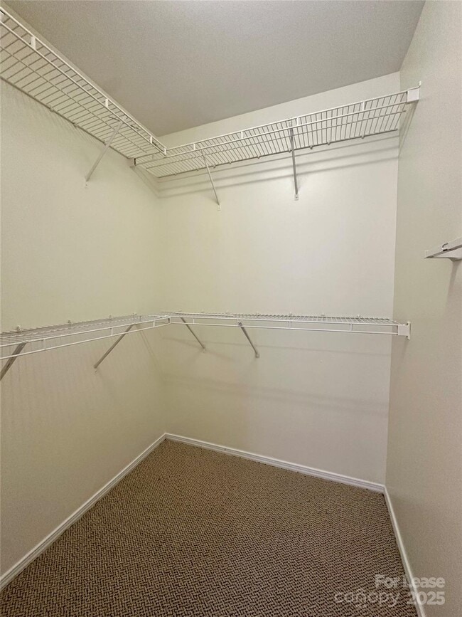 Building Photo - 4115 Rosefield Ct