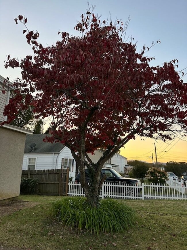 Building Photo - JP - Early