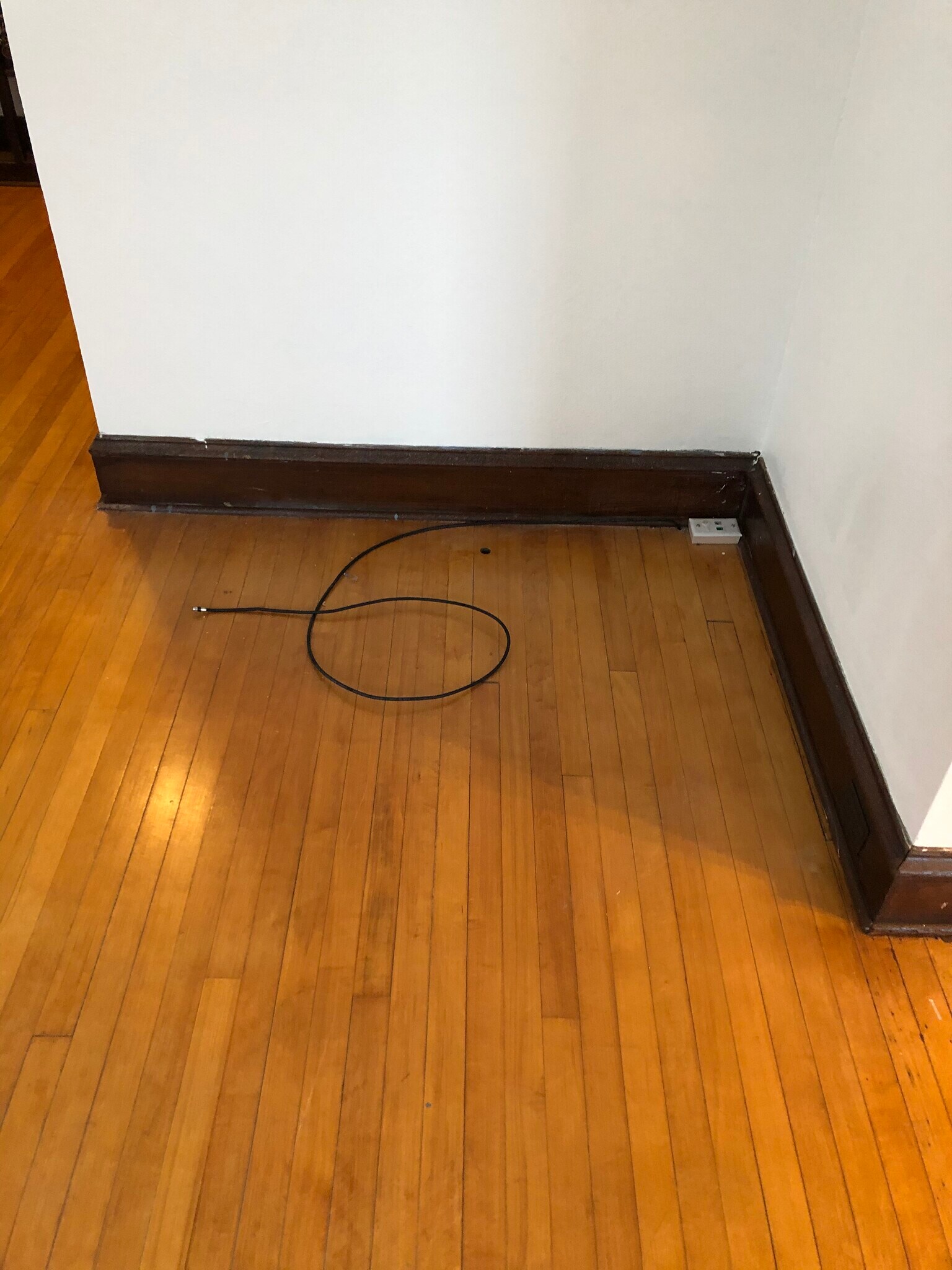 Living room - 810 Swift Ave