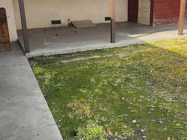 Building Photo - 1260 S Klein Ave