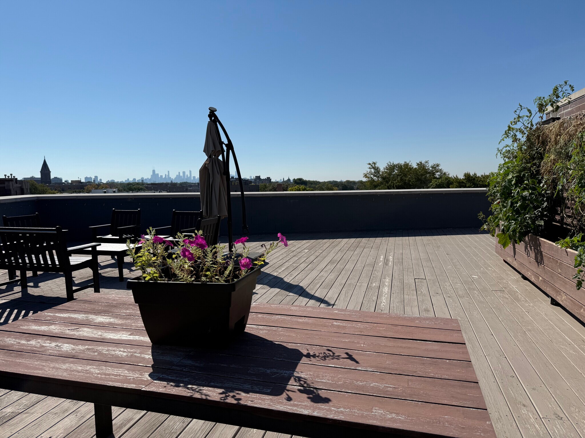 Common rooftop with community garden - 2505 W Carmen Ave