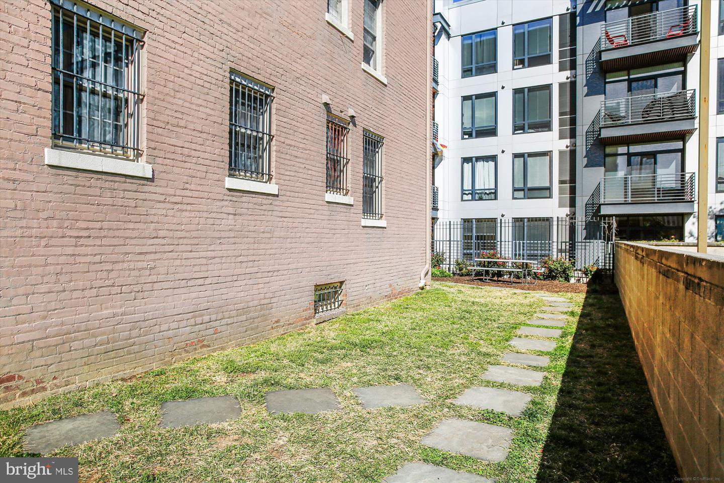 Back yard - 1417 Newton St NW