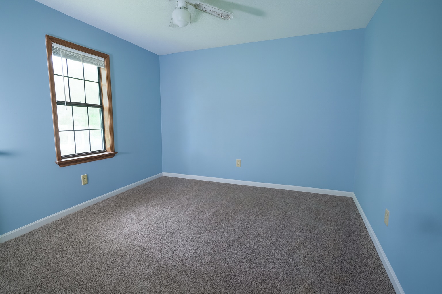 Bright guest bedroom with soft light, neutral carpet, and cheerful blue walls. - 2313 Salem West Dr