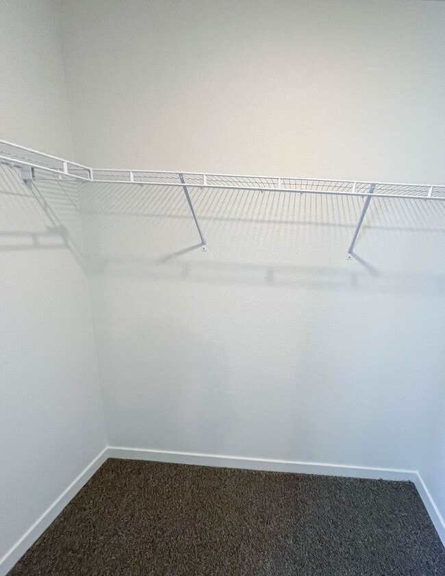 Building Photo - 3909 Congaree Way