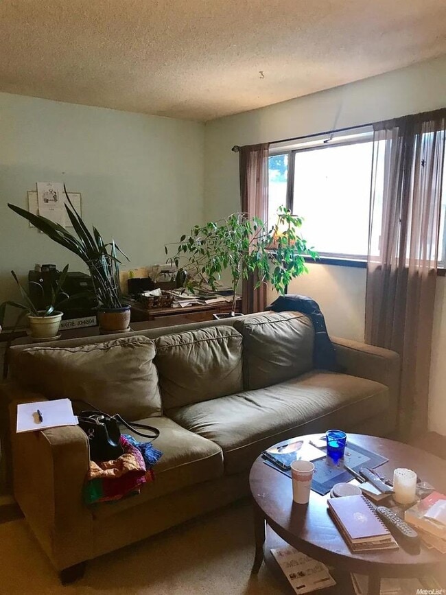 Building Photo - 1736 Fremont Ct