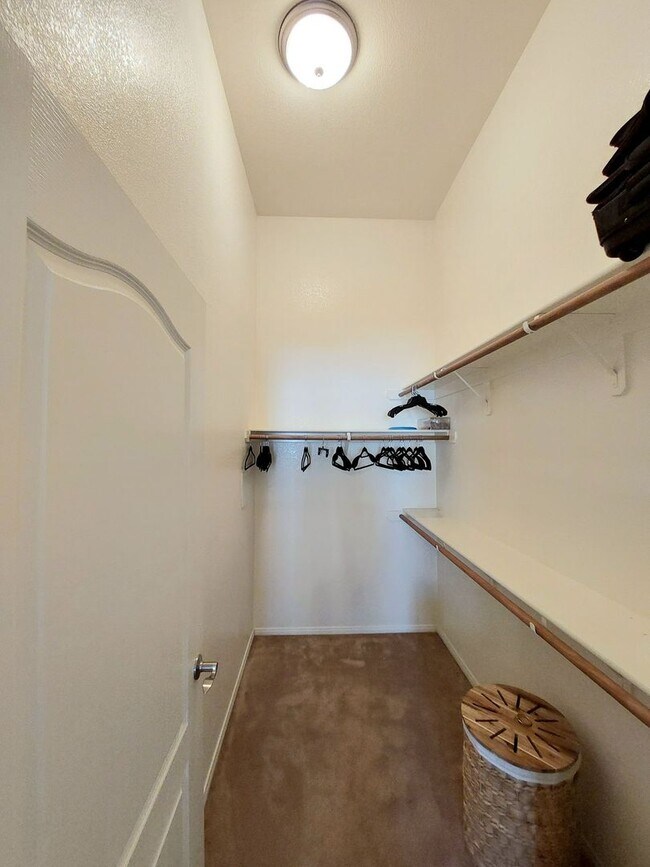 Building Photo - SOUTHWEST - SUNSET CLIFFS