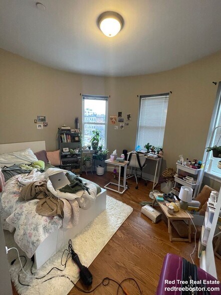 Building Photo - 491 Commonwealth Ave