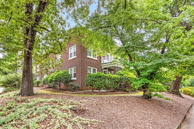 Building Photo - 800 Magnolia Ave