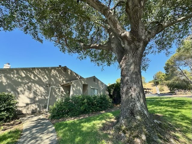 Primary Photo - 310 Village Cir