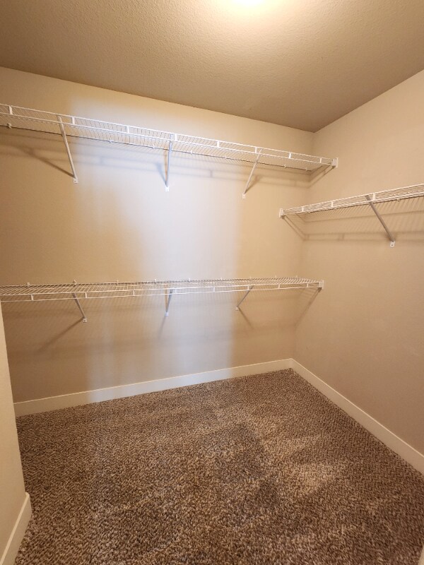 Building Photo - 3335 Apple Blossom Ln