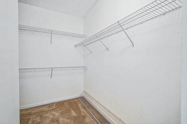 Building Photo - 2803 Sarento Pl