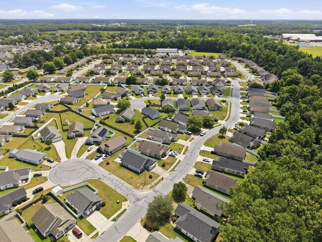 Building Photo - 2517 Sawgrass Dr