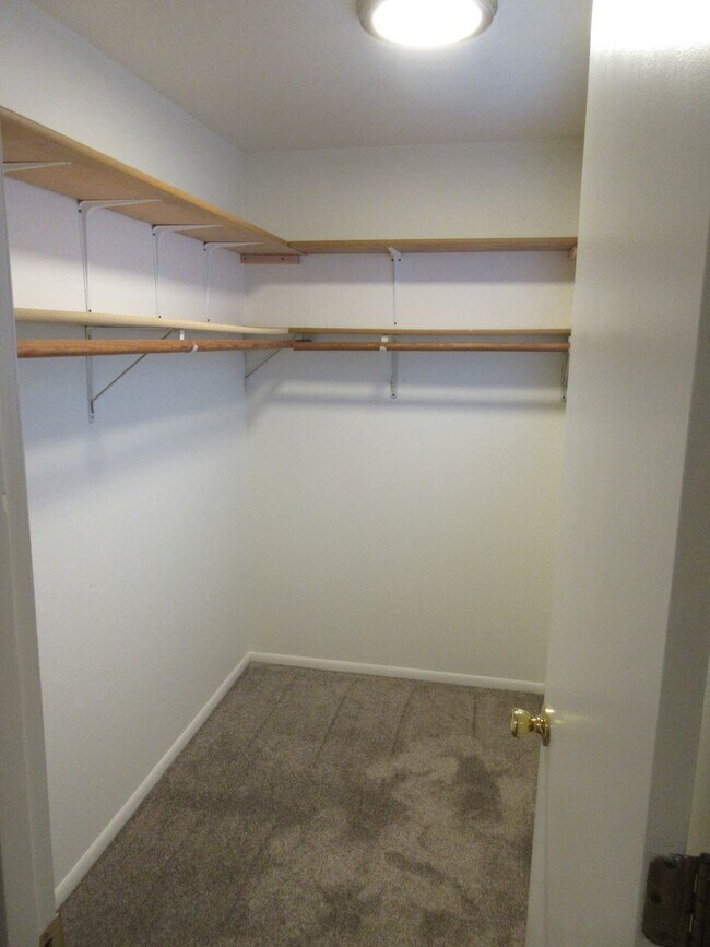 Building Photo - One Bedroom Apartment by Bush Park