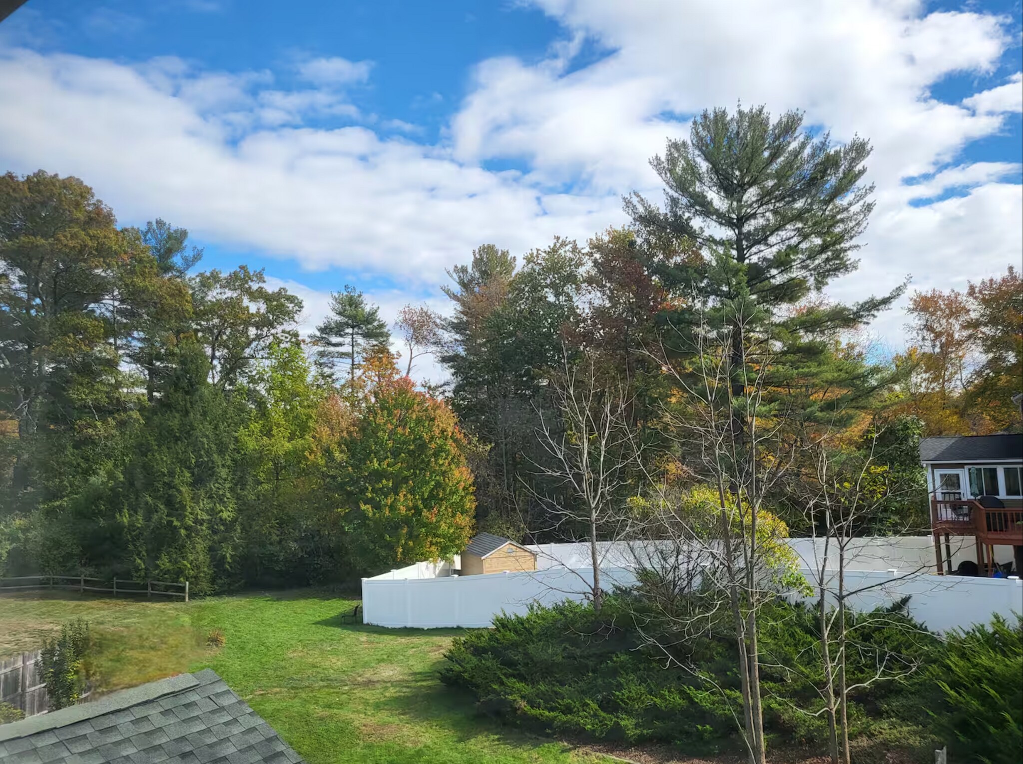 Large maintained yard - 16 Federal St