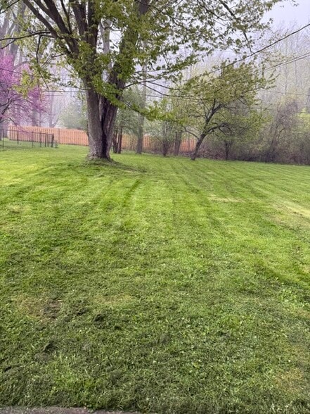 Backyard - 16 Brittany Dr