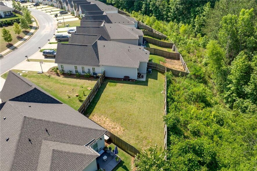 backyard aerial view - 1242 Burrow Cir