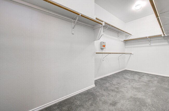 Building Photo - 11817 Watercrest Ct