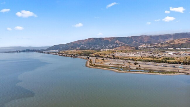 Building Photo - Pet Friendly, Luxurious Condo w/Bay Views....