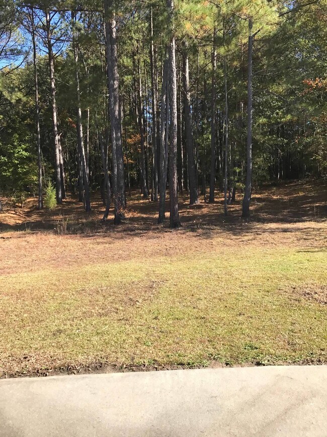 Building Photo - 160 War Admiral Dr