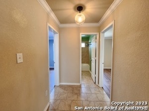 Building Photo - 1616 Tree Run