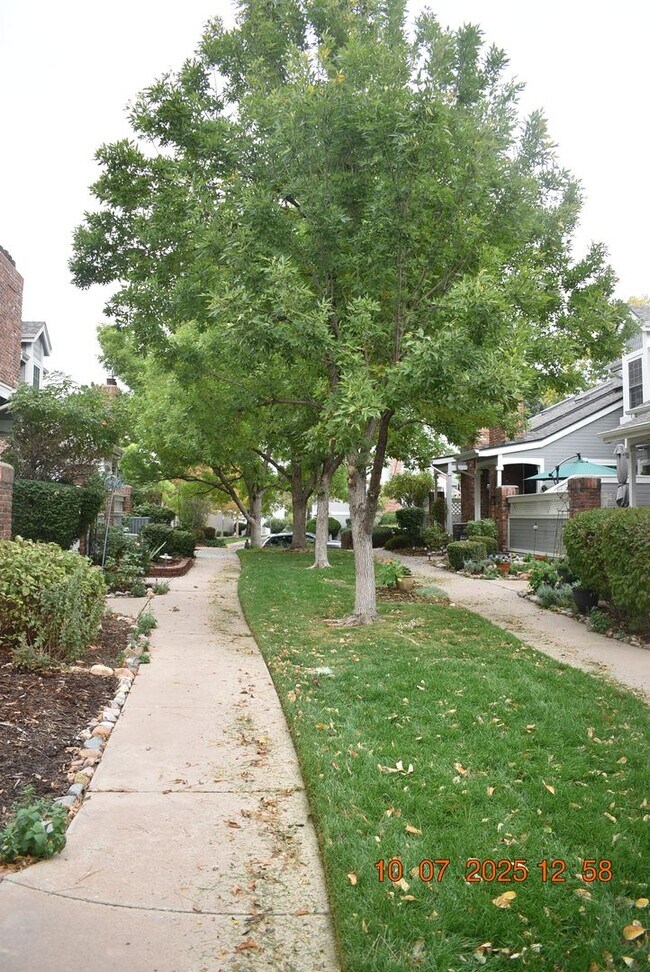 Building Photo - Updated 3 Bed Littleton Townhome