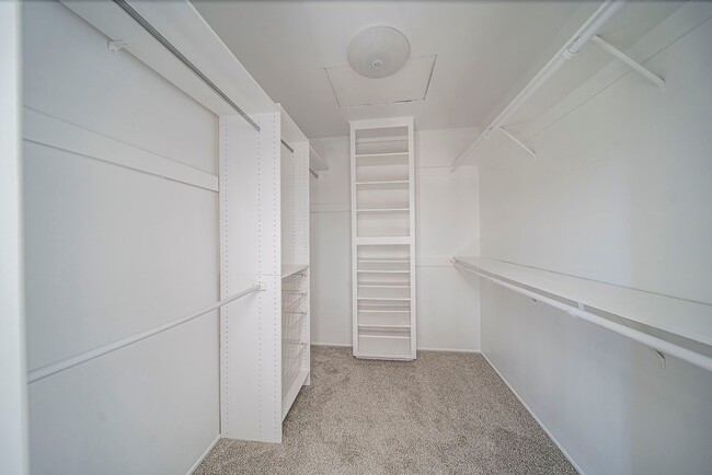 Building Photo - Ocean View Home