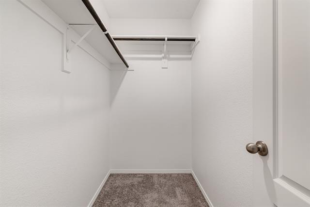 Building Photo - 2216 Canongate Dr