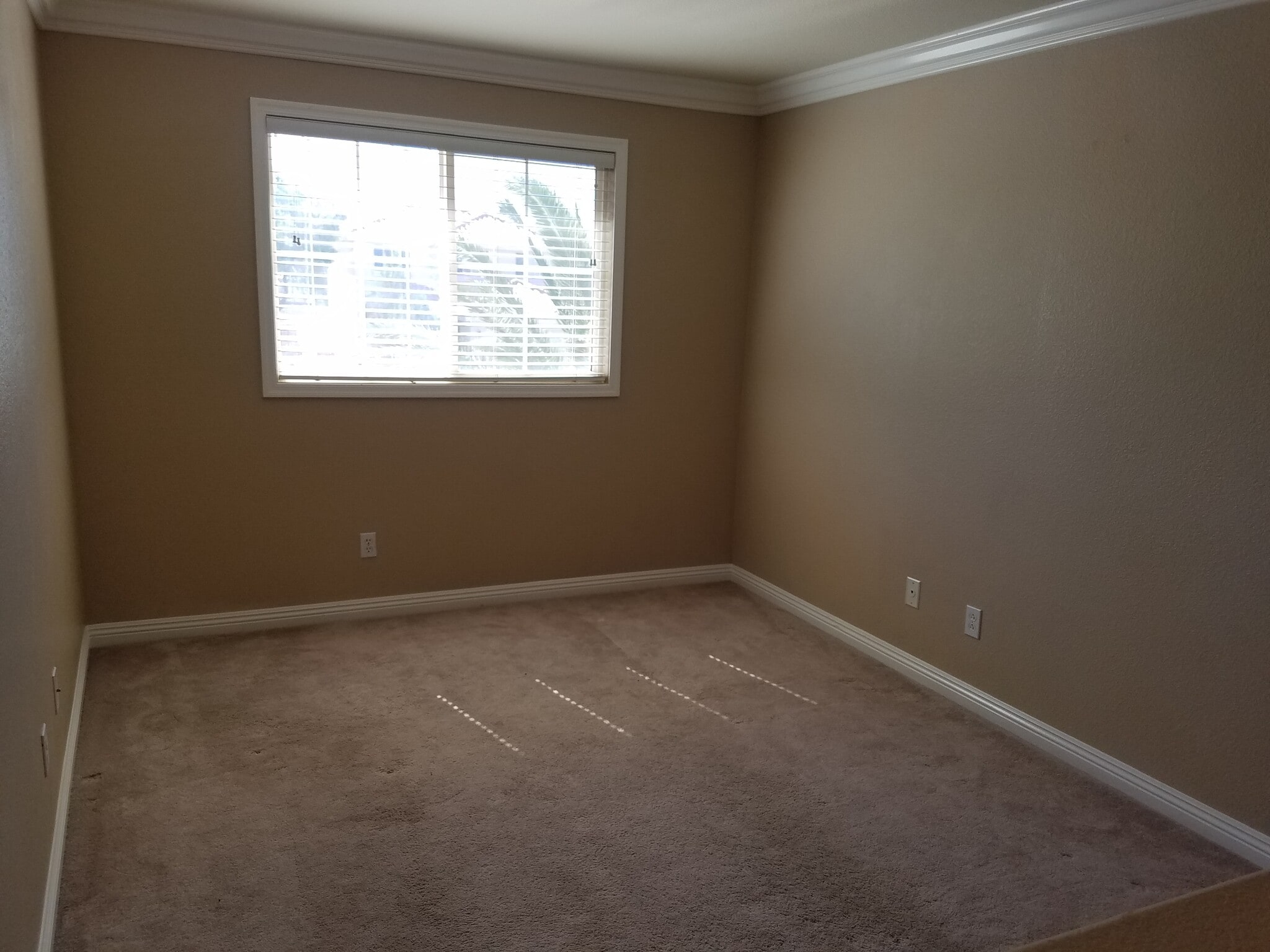 Building Photo - 9740 Powell Plateau Ct