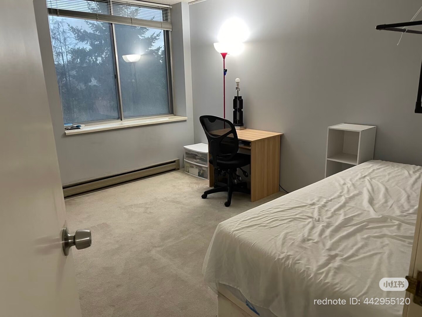 Building Photo - 4540 8th Ave NE